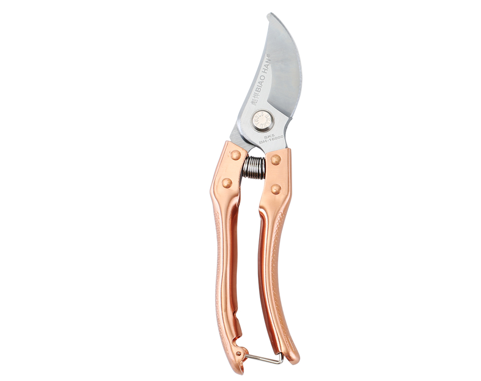 Round Pruning Shears